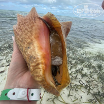 фото из отзыва ID 2334511