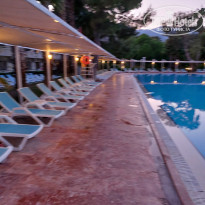 фото из отзыва ID 2334489