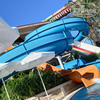 фото из отзыва ID 2334532