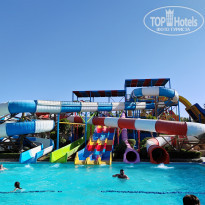 фото из отзыва ID 2334602