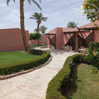 фото из отзыва ID 2334608