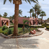 фото из отзыва ID 2334608