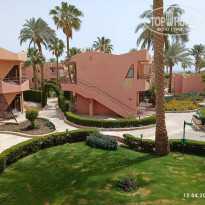 фото из отзыва ID 2334608