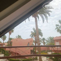 фото из отзыва ID 2334608