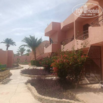 фото из отзыва ID 2334608