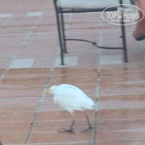 фото из отзыва ID 2334608