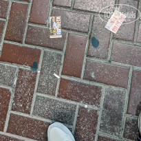 фото из отзыва ID 2334689