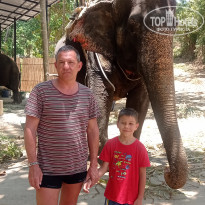 фото из отзыва ID 2334695