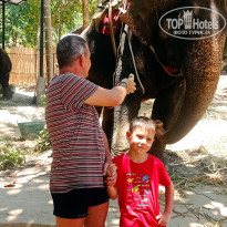 фото из отзыва ID 2334695