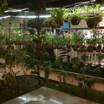 фото из отзыва ID 2334701