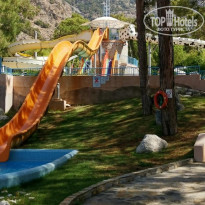 фото из отзыва ID 2334846