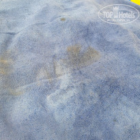 фото из отзыва ID 2334922