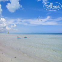 фото из отзыва ID 2334959