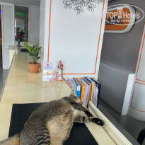 фото из отзыва ID 2334962