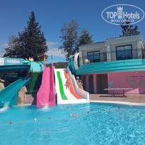 фото из отзыва ID 2334967