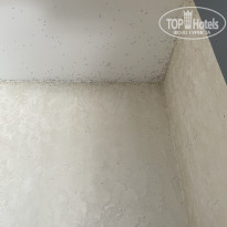 фото из отзыва ID 2335035