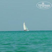 фото из отзыва ID 2335044