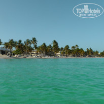 фото из отзыва ID 2335044