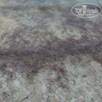 фото из отзыва ID 2335044