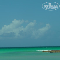 фото из отзыва ID 2335044