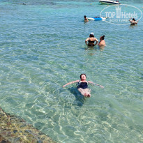 фото из отзыва ID 2335131