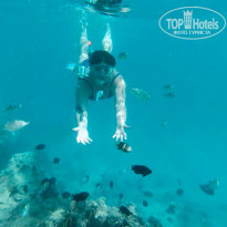 фото из отзыва ID 2335131