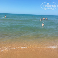 фото из отзыва ID 2335195