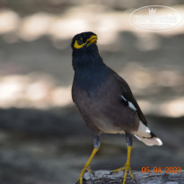 фото из отзыва ID 2335197