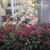 фото из отзыва ID 2335197