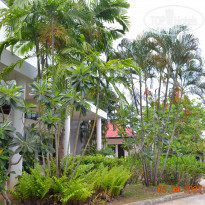 фото из отзыва ID 2335197