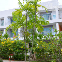 фото из отзыва ID 2335197