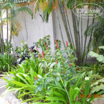 фото из отзыва ID 2335197