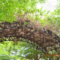 фото из отзыва ID 2335197