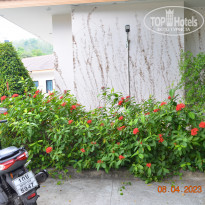 фото из отзыва ID 2335197