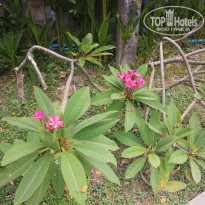 фото из отзыва ID 2335197