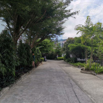 фото из отзыва ID 2335197