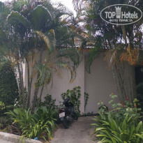 фото из отзыва ID 2335197