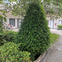 фото из отзыва ID 2335197