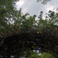 фото из отзыва ID 2335197