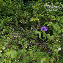 фото из отзыва ID 2335197