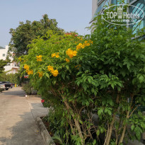 фото из отзыва ID 2335197