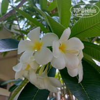 фото из отзыва ID 2335197