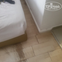 фото из отзыва ID 2335210