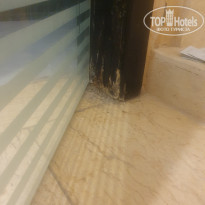 фото из отзыва ID 2335210