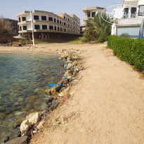 фото из отзыва ID 2335210