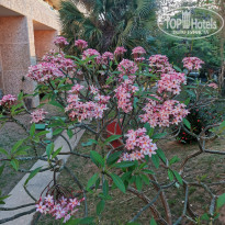 фото из отзыва ID 2335269