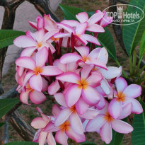 фото из отзыва ID 2335269