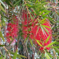 фото из отзыва ID 2335269