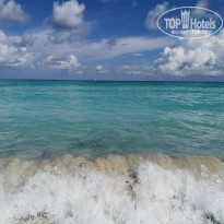 фото из отзыва ID 2335269