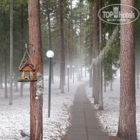 фото из отзыва ID 2335313